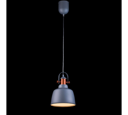 Подвесной светильник Lucia Tucci Industrial 1820.1 Sand Silver Подвесной светильник Lucia Tucci Industrial 1820.1 Sand Silver