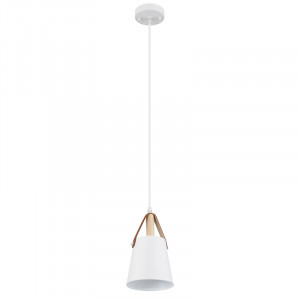 Подвесной светильник Arte Lamp Thomas A7032SP-1WH