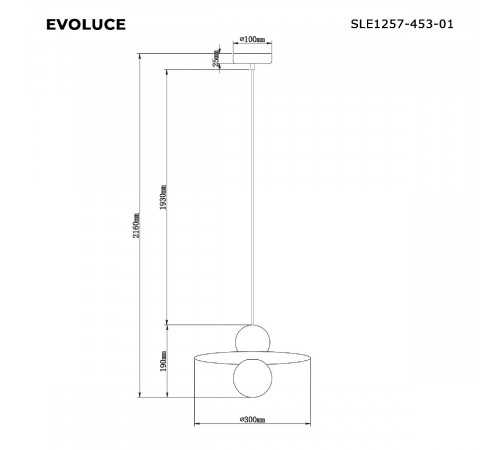 Подвесной светильник Evoluce Rizz SLE1257-453-01 Подвесной светильник Evoluce Rizz SLE1257-453-01