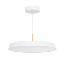 Подвесной светильник Arlight SP-Elegant-R500-37W Warm3000 033925