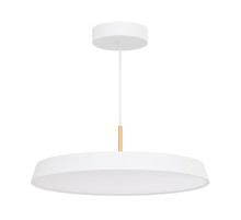 Подвесной светильник Arlight SP-Elegant-R500-37W Warm3000 033925