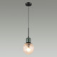 Подвесной светильник Odeon Light Greeni 5026/1