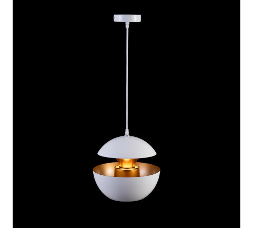 Подвесной светильник Loft IT LOFT2213-A Подвесной светильник Loft IT LOFT2213-A