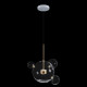 Подвесной светильник Loft IT Bolle 2027-P4