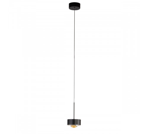 Подвесной светильник Delight Collection MD2826 MD2826-1A black Подвесной светильник Delight Collection MD2826 MD2826-1A black