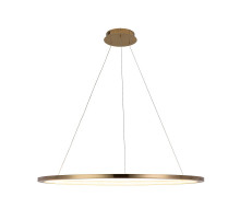 Подвесной светодиодный светильник Loft IT Ring 10014XL