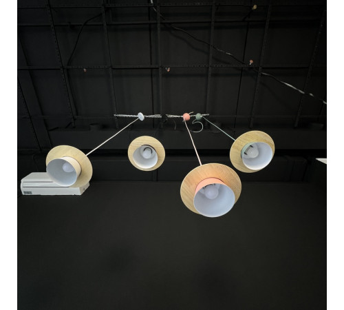 Подвесной светильник ImperiumLoft Eco 101549-26