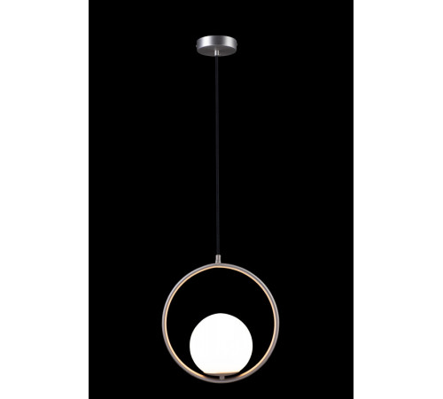 Подвесной светильник Loft IT GLOB LOFT2600-B