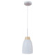 Подвесной светильник LOFT IT Watchman Loft4402A-Wh