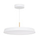 Подвесной светильник Arlight SP-ELEGANT-R500-37W Warm3000 (WH, 120 deg, 230V) 033925(1)
