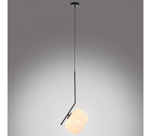 Подвесной светильник MyFar Single MR1720-1P Подвесной светильник MyFar Single MR1720-1P