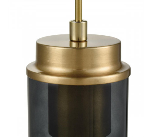 Подвесной светильник Lumion Isha 8101/1A Подвесной светильник Lumion Isha 8101/1A