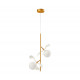 Подвесной светильник Kink Light Аста 07867-2A,33