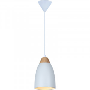 Подвесной светильник Toplight Leah TL0724H-2W
