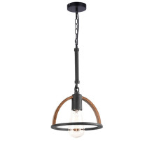 Подвесной светильник Toplight Jasmin TL1179H-01BK