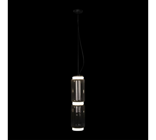 Подвесной светильник Loft IT Noctambule 10194/M Подвесной светильник Loft IT Noctambule 10194/M