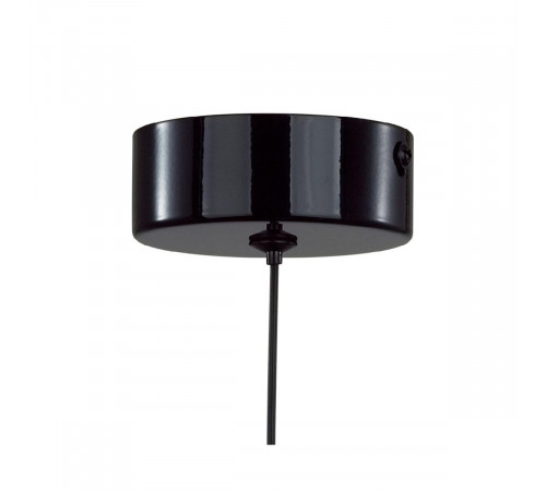 Подвесной светильник Lumion Globe 6568/6L Подвесной светильник Lumion Globe 6568/6L