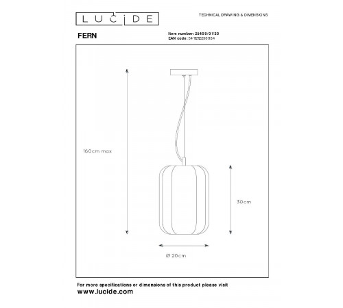 Подвесной светильник Lucide Fern 25409/01/30 Подвесной светильник Lucide Fern 25409/01/30