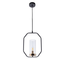 Подвесной светильник Arte Lamp Celaeno A7004SP-1BK
