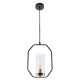 Подвесной светильник Arte Lamp Celaeno A7004SP-1BK