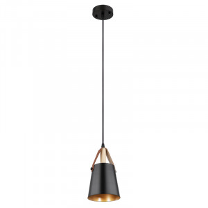 Подвесной светильник Arte Lamp Thomas A7032SP-1BK