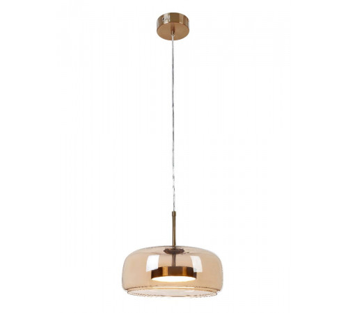Подвесной светильник Myfar Charlie MR2130-1PL Подвесной светильник Myfar Charlie MR2130-1PL