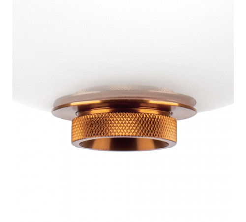 Подвесной светильник Lightstar Colore 805402 Подвесной светильник Lightstar Colore 805402