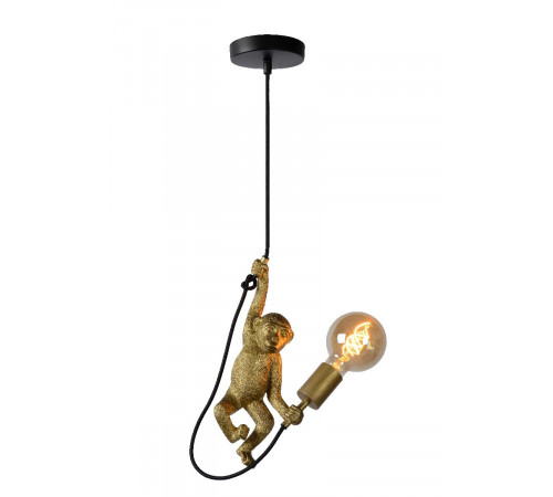 Подвесной светильник Lucide Extravaganza Chimp 10402/01/30 Подвесной светильник Lucide Extravaganza Chimp 10402/01/30
