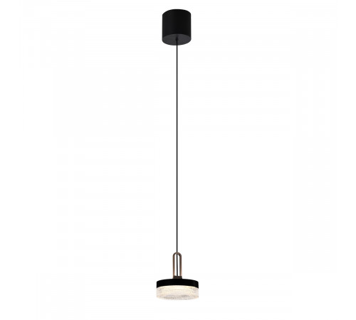 Подвесной светильник Delight Collection P0855 P0855-1A black Подвесной светильник Delight Collection P0855 P0855-1A black