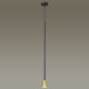 Подвесной светильник Odeon Light Pipa 3884/1GB