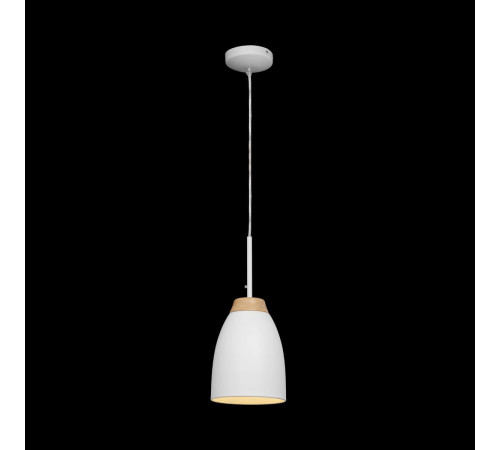 Подвесной светильник LOFT IT Watchman Loft4402A-Wh
