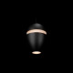 Подвесной светильник Loft IT Viterbo 10336 Black