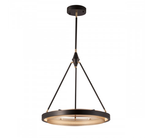 Подвесной светильник Delight Collection MD8790 MD8790-1A black/gold Подвесной светильник Delight Collection MD8790 MD8790-1A black/gold
