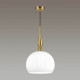Подвесной светильник Odeon Light 4765/1