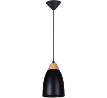 Подвесной светильник Toplight Leah TL0724H-2B