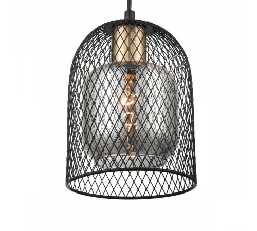 Подвесной светильник Vele Luce Diodor VL6402P01 Подвесной светильник Vele Luce Diodor VL6402P01