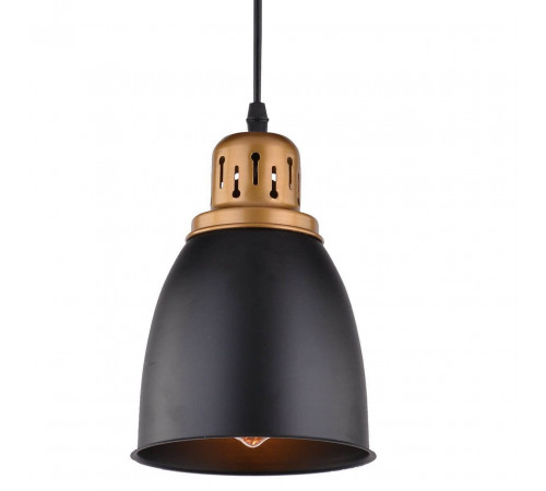Подвесной светильник Arte Lamp Eurica A4248SP-1BK