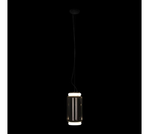 Подвесной светильник Loft IT Noctambule 10194/S Подвесной светильник Loft IT Noctambule 10194/S
