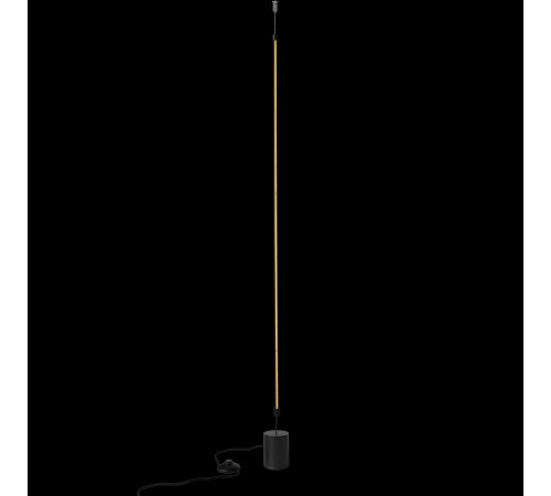 Подвесной светильник Loft IT Slim 3604-BL