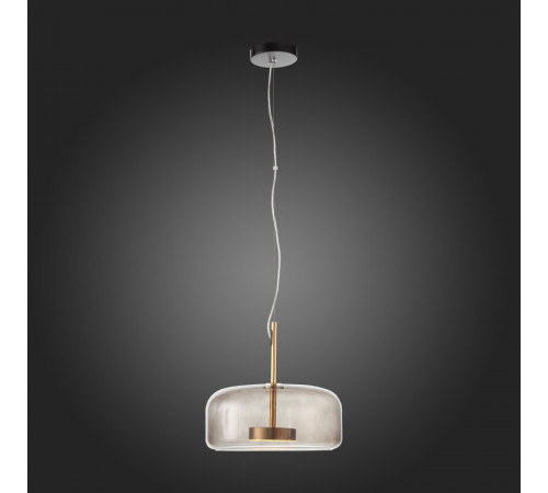 Подвесной светильник ST-Luce SL1053.243.01 Подвесной светильник ST-Luce SL1053.243.01