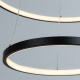 Подвесной светильник Arte Lamp Frodo A2197SP-2BK