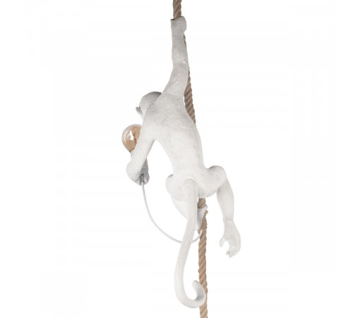 Подвесной светильник Loft IT Monkey 10314P Подвесной светильник Loft IT Monkey 10314P