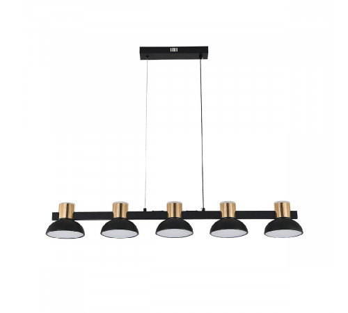 Подвесной светильник Indigo Traforo 11059/5PL Black V000184L Подвесной светильник Indigo Traforo 11059/5PL Black V000184L