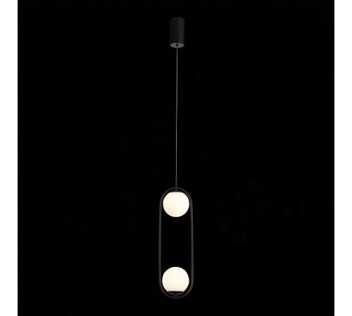 Подвесной светильник ST-Luce SL395.403.02 Подвесной светильник ST-Luce SL395.403.02