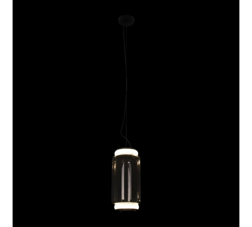 Подвесной светильник Loft IT Noctambule 10194/S Подвесной светильник Loft IT Noctambule 10194/S