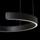 Подвесной светодиодный светильник Loft IT Ring 10025/400 Black