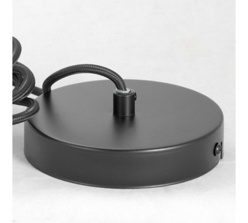 Подвесной светильник Lussole Lgo Strawberry LSP-8212 Подвесной светильник Lussole Lgo Strawberry LSP-8212