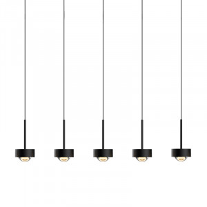 Подвесной светильник Delight Collection MD2826 MD2826-5L black