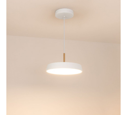 Подвесной светильник Arlight SP-ELEGANT-R300-17W Warm3000 (WH, 120 deg, 230V) 033914(1) Подвесной светильник Arlight SP-ELEGANT-R300-17W Warm3000 (WH, 120 deg, 230V) 033914(1)