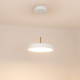 Подвесной светильник Arlight SP-ELEGANT-R300-17W Warm3000 (WH, 120 deg, 230V) 033914(1)